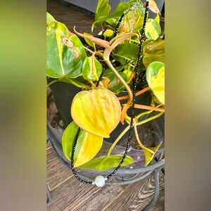 Black Beaded with Edison Freshwater Pearl Necklace